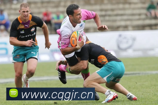 爱游戏(中国)ayx·官方网站 - 科技股份有限公司APP 封面图