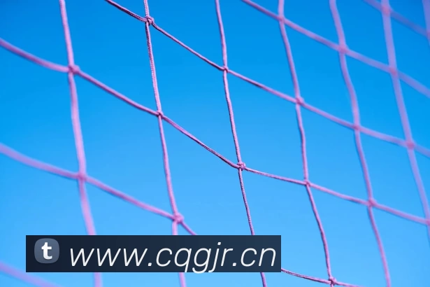 数据防护可视化